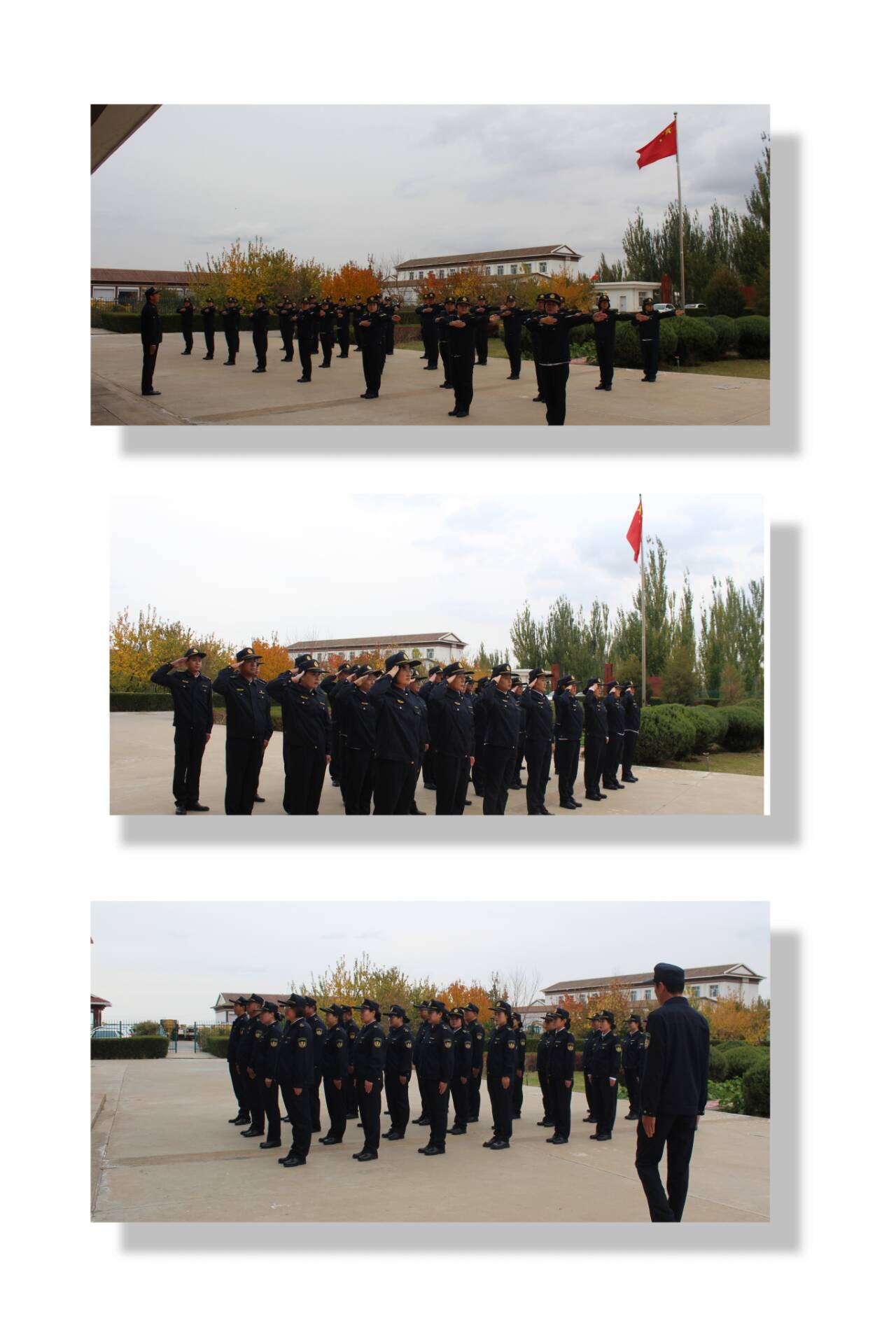 女人与公狍交酡女免费