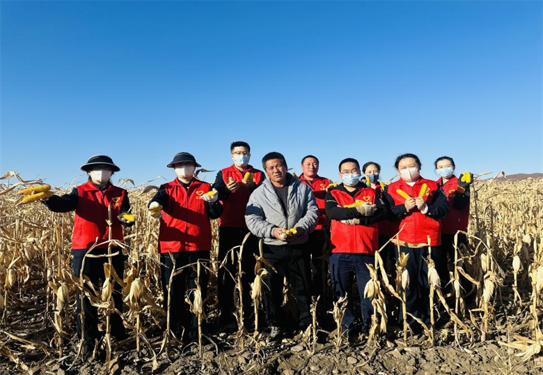 女人与公狍交酡女免费