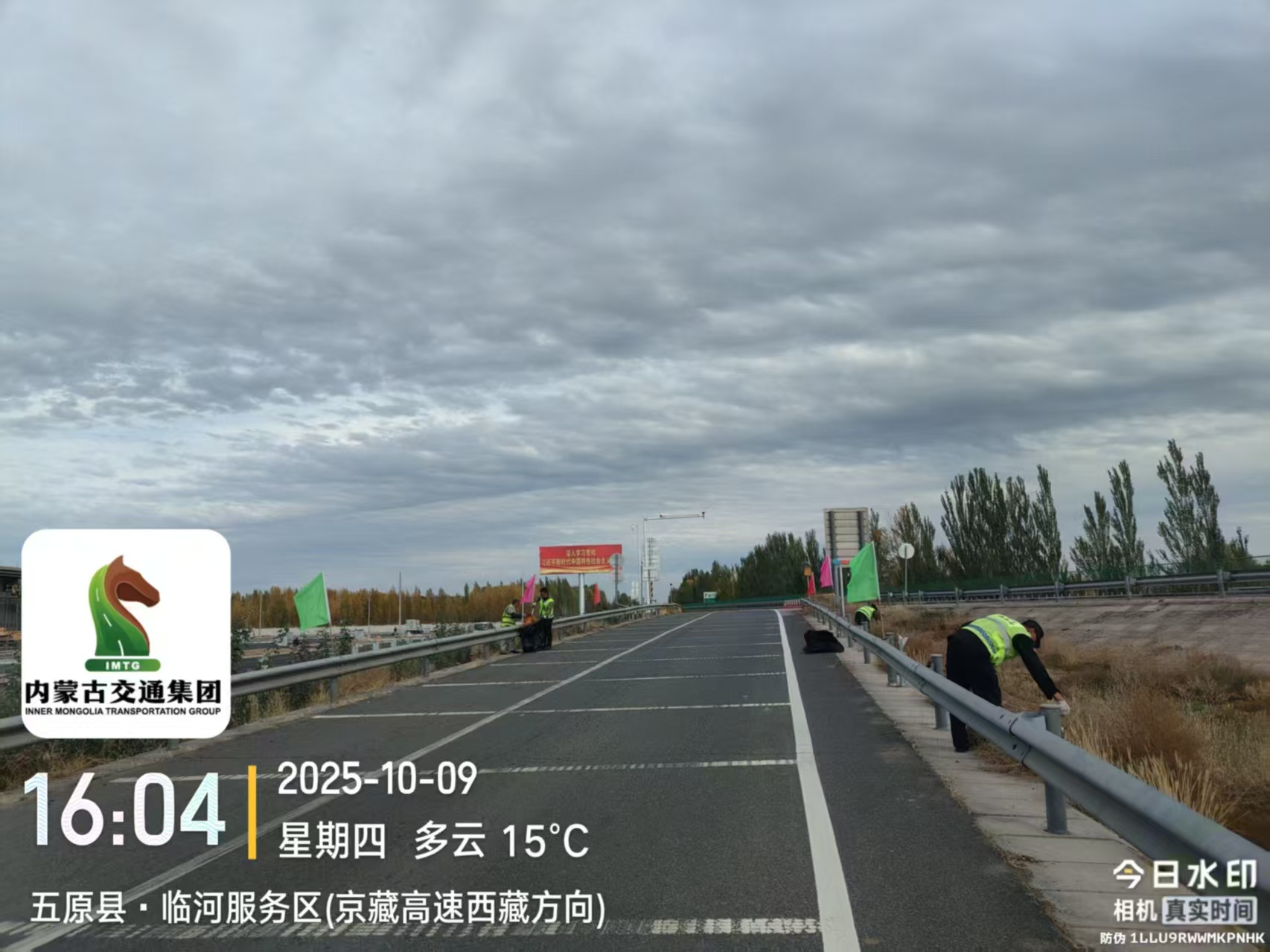 女人与公狍交酡女免费