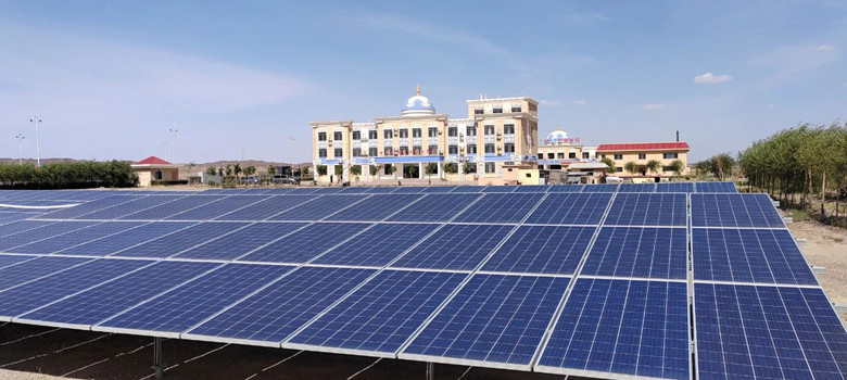 女人与公狍交酡女免费