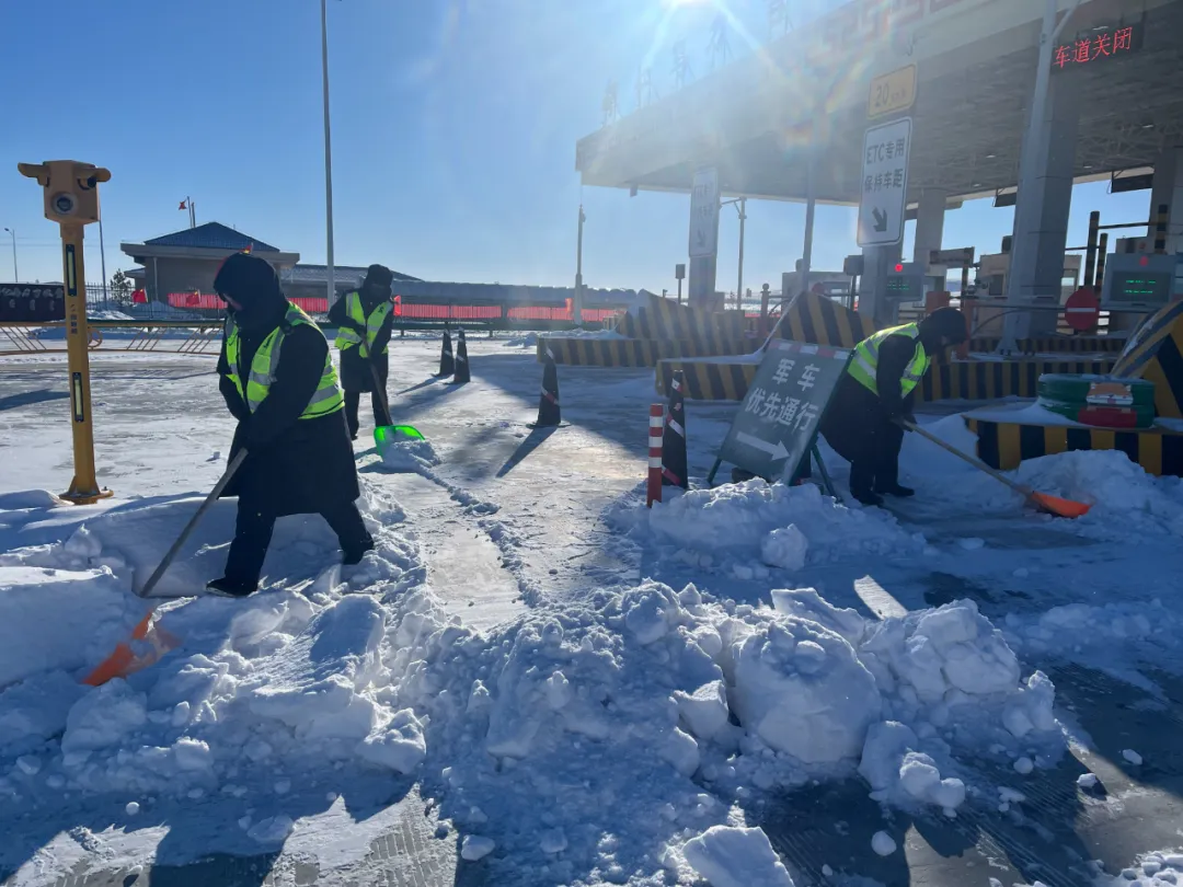 女人与公狍交酡女免费