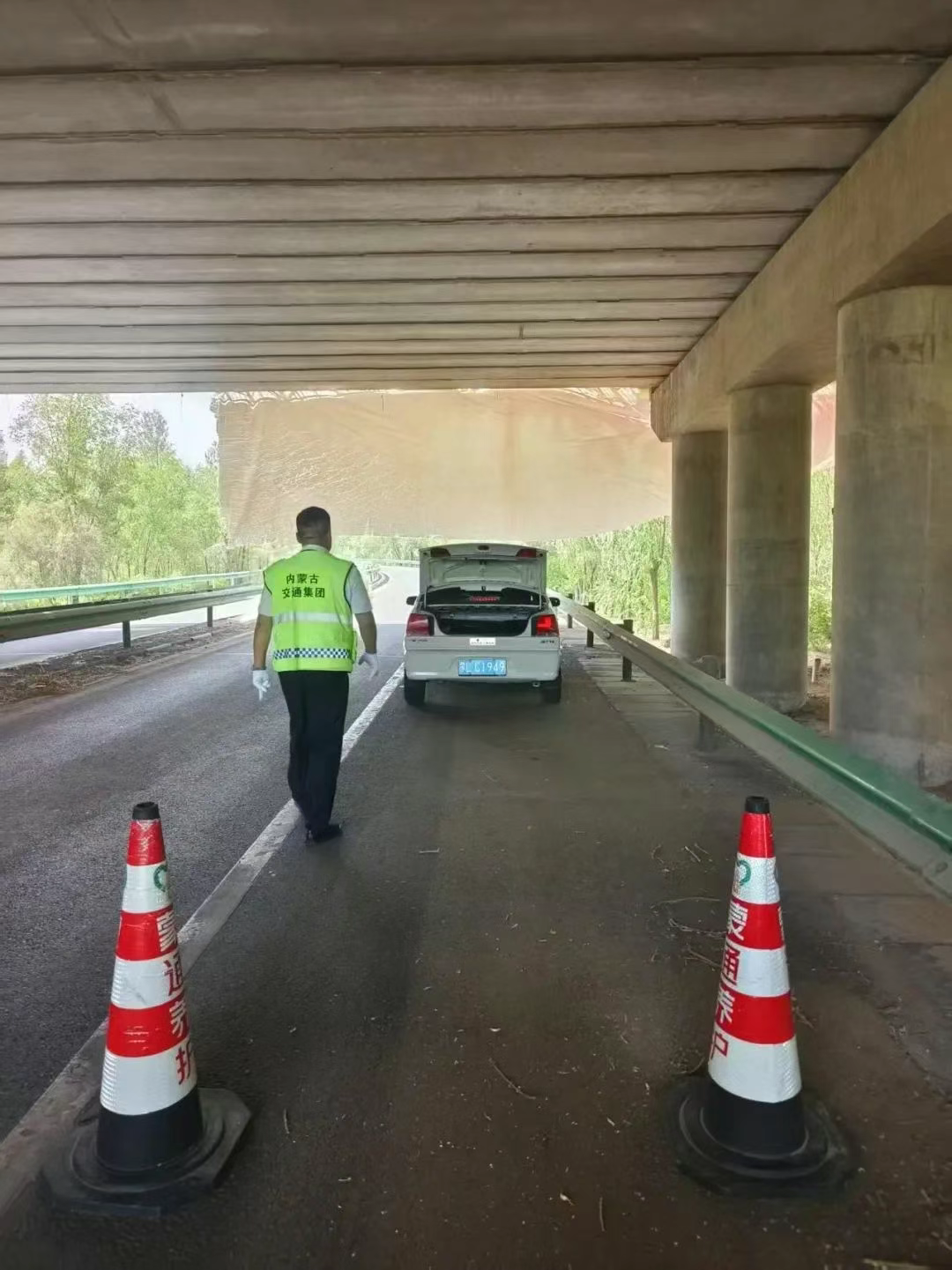 女人与公狍交酡女免费