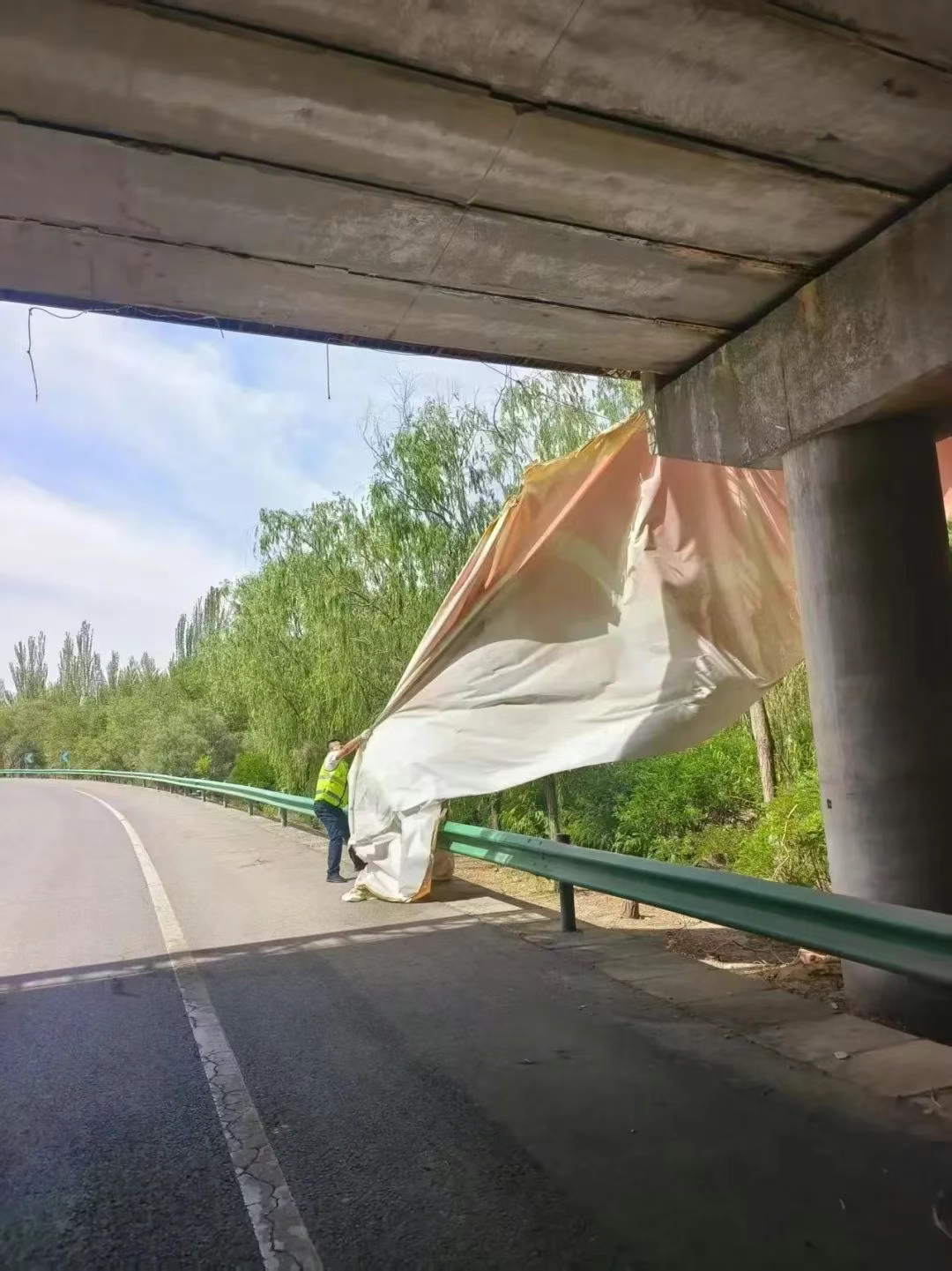 女人与公狍交酡女免费