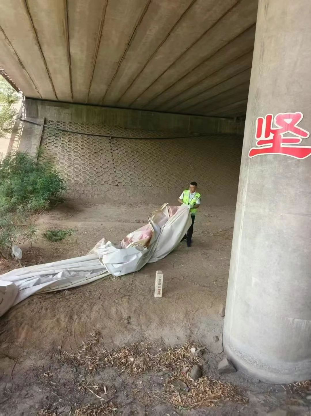 女人与公狍交酡女免费