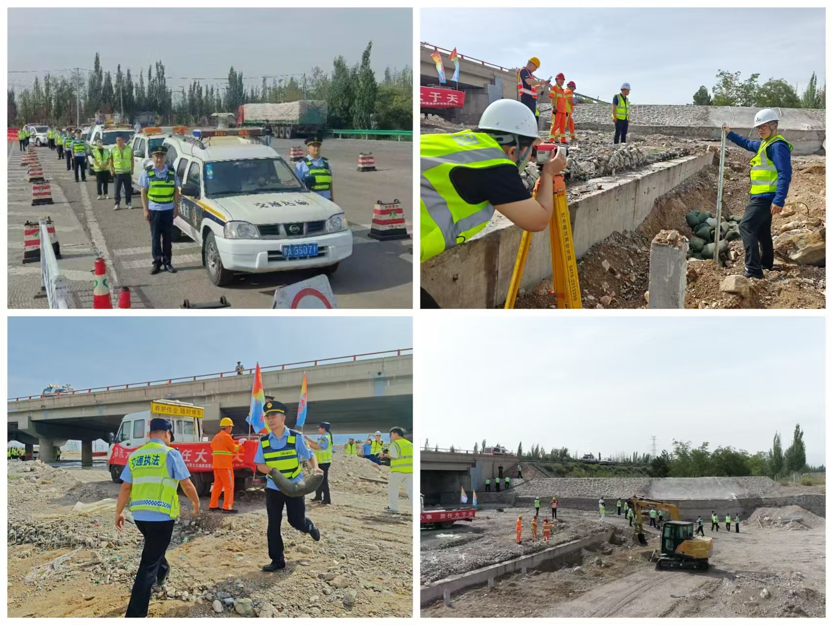 女人与公狍交酡女免费