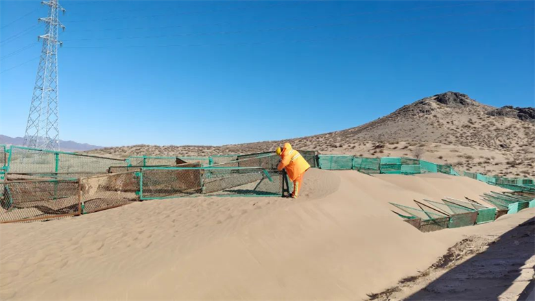 女人与公狍交酡女免费