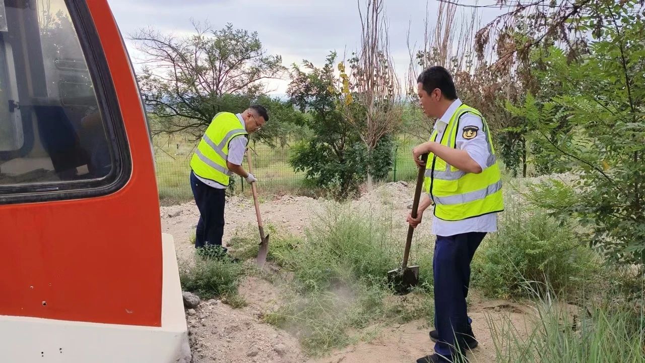 女人与公狍交酡女免费