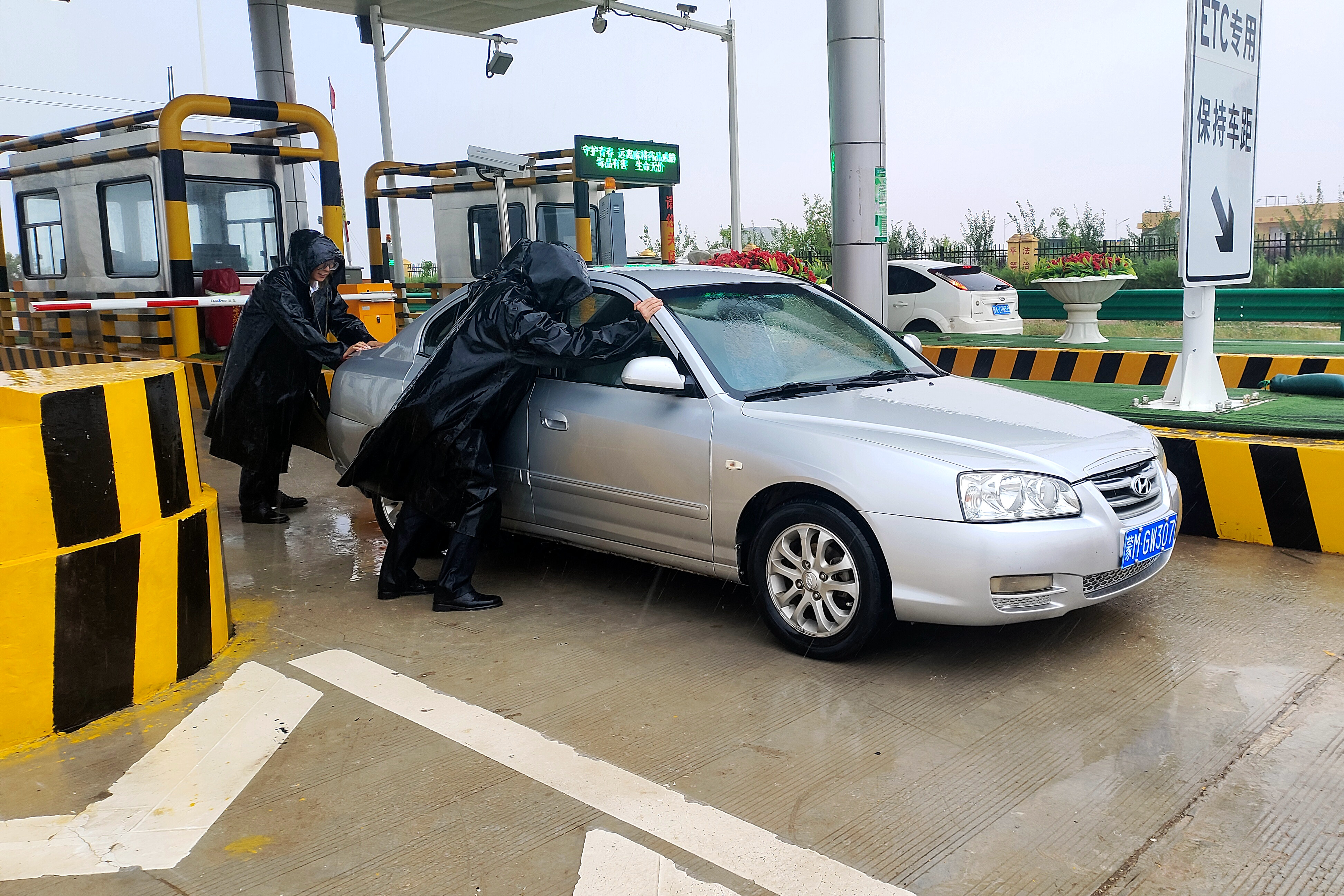 女人与公狍交酡女免费