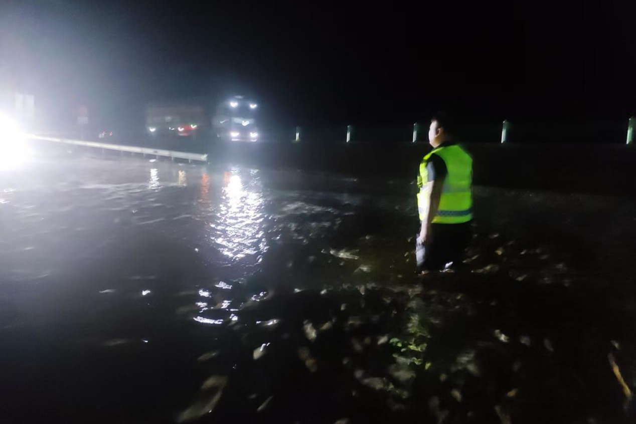 女人与公狍交酡女免费