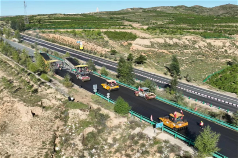 女人与公狍交酡女免费