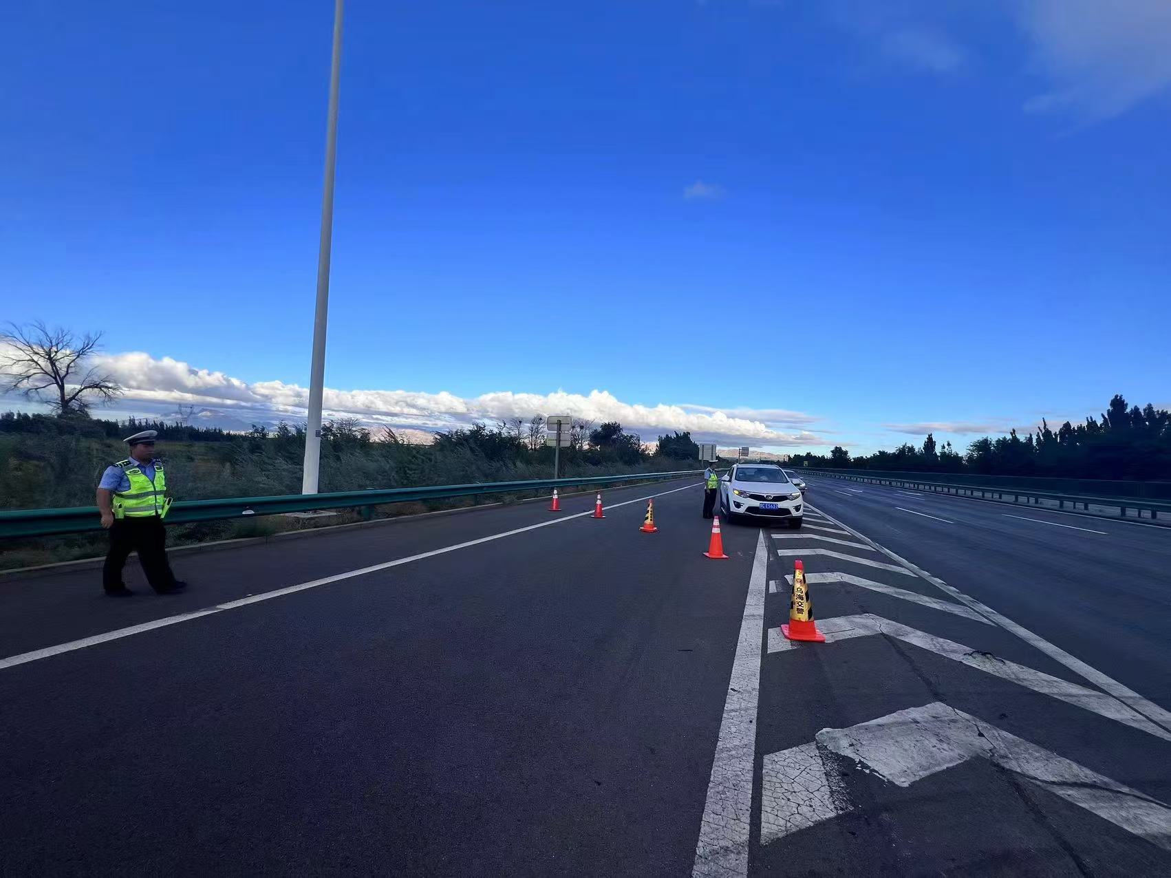 女人与公狍交酡女免费