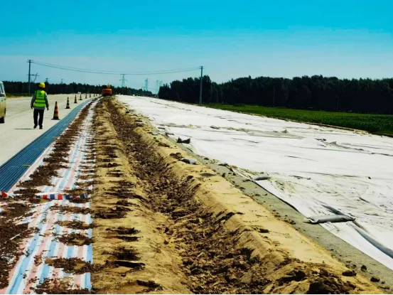 女人与公狍交酡女免费