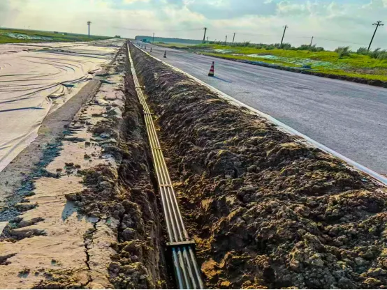 女人与公狍交酡女免费
