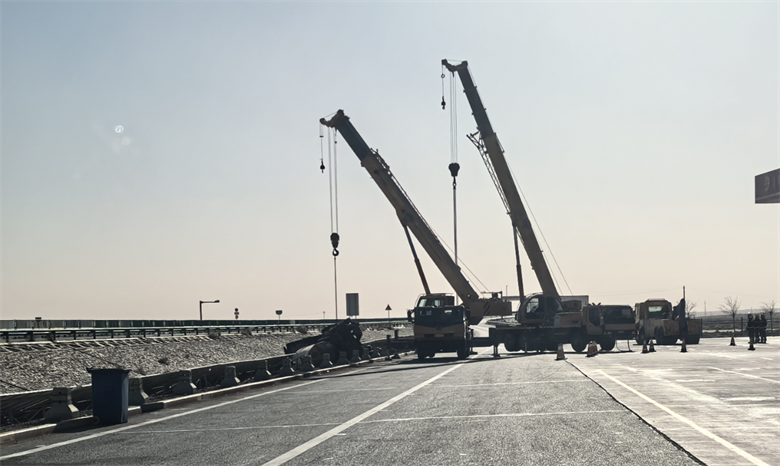 女人与公狍交酡女免费