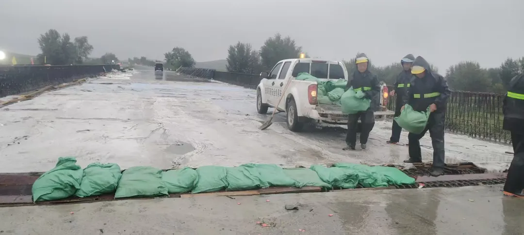 女人与公狍交酡女免费