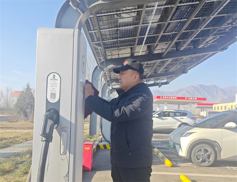 女人与公狍交酡女免费