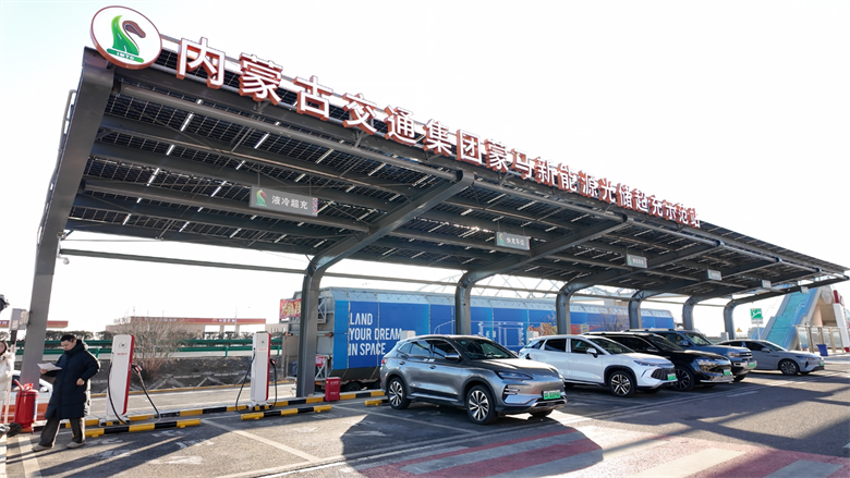 女人与公狍交酡女免费