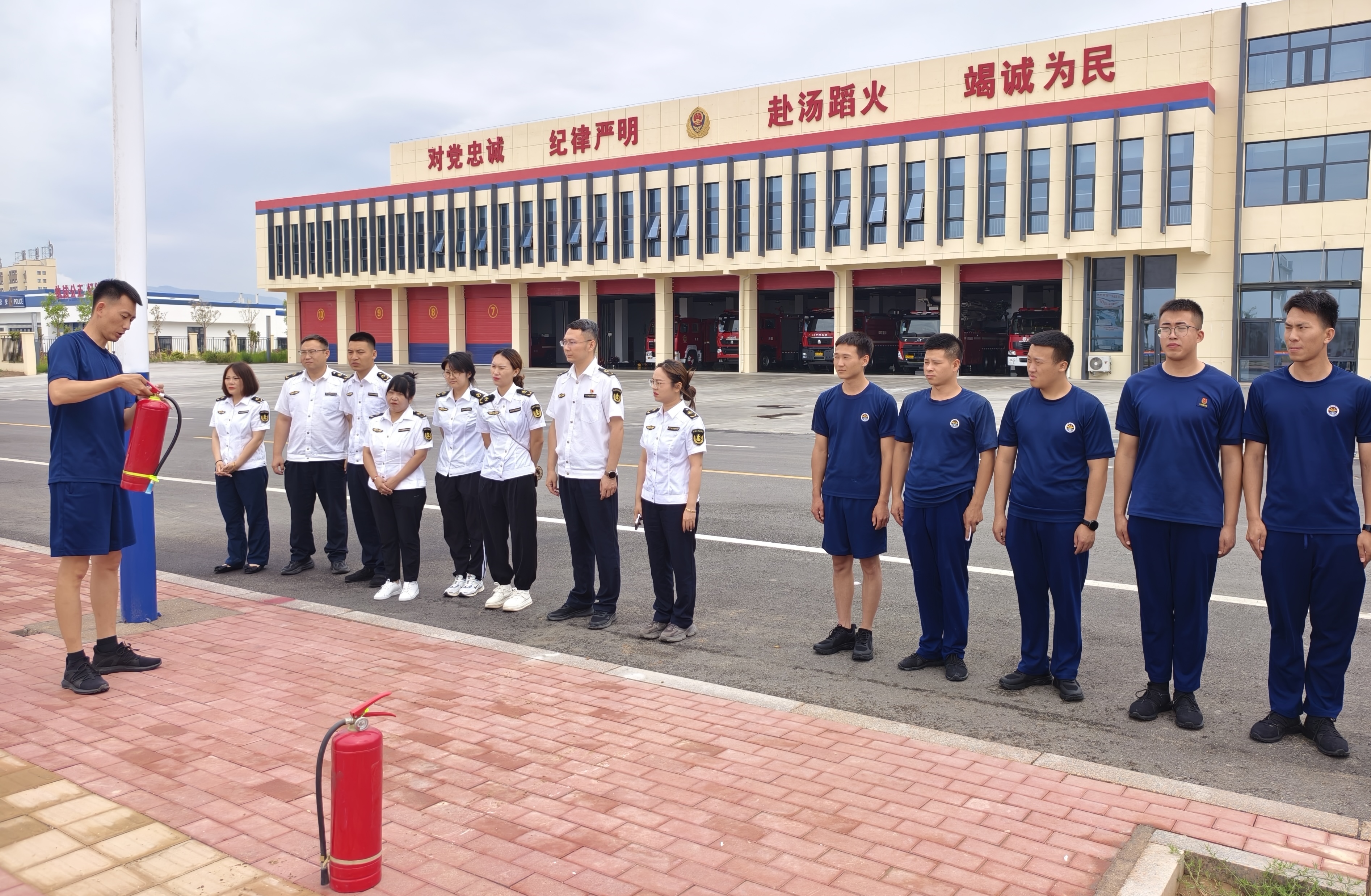 女人与公狍交酡女免费