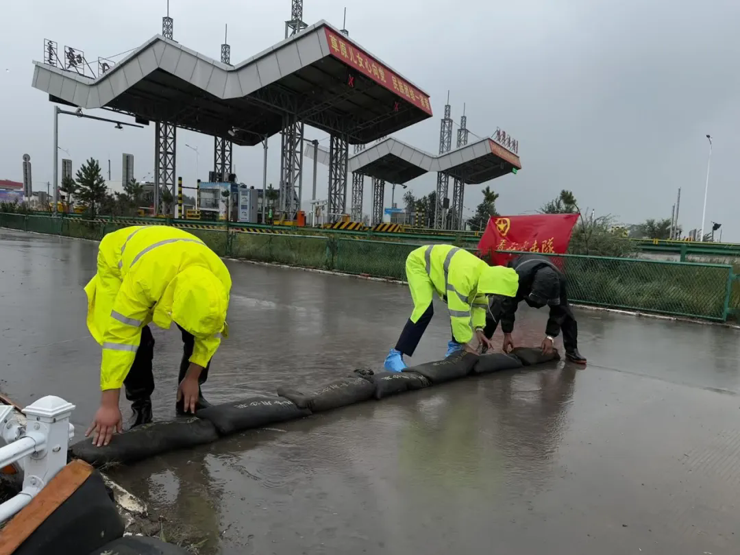 女人与公狍交酡女免费