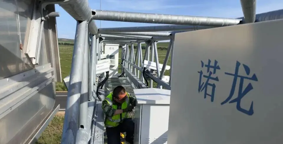 女人与公狍交酡女免费