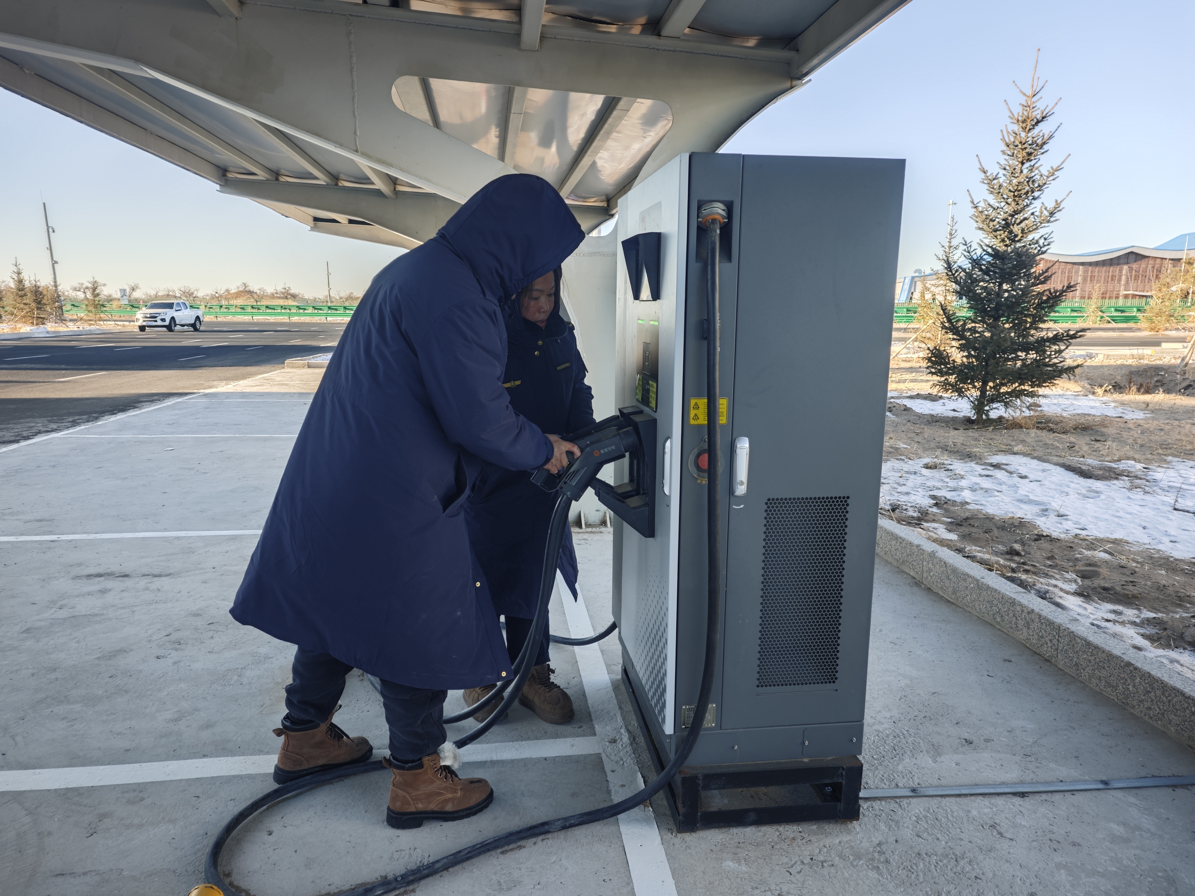 女人与公狍交酡女免费