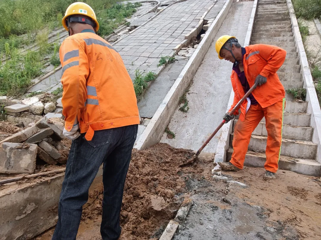 女人与公狍交酡女免费