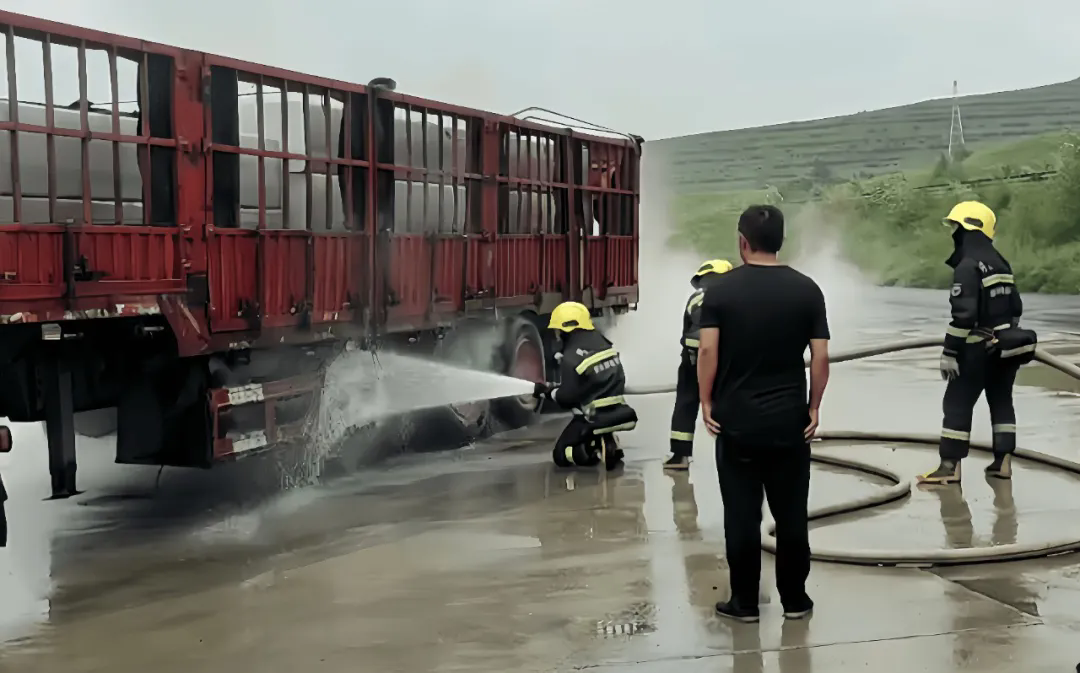 女人与公狍交酡女免费