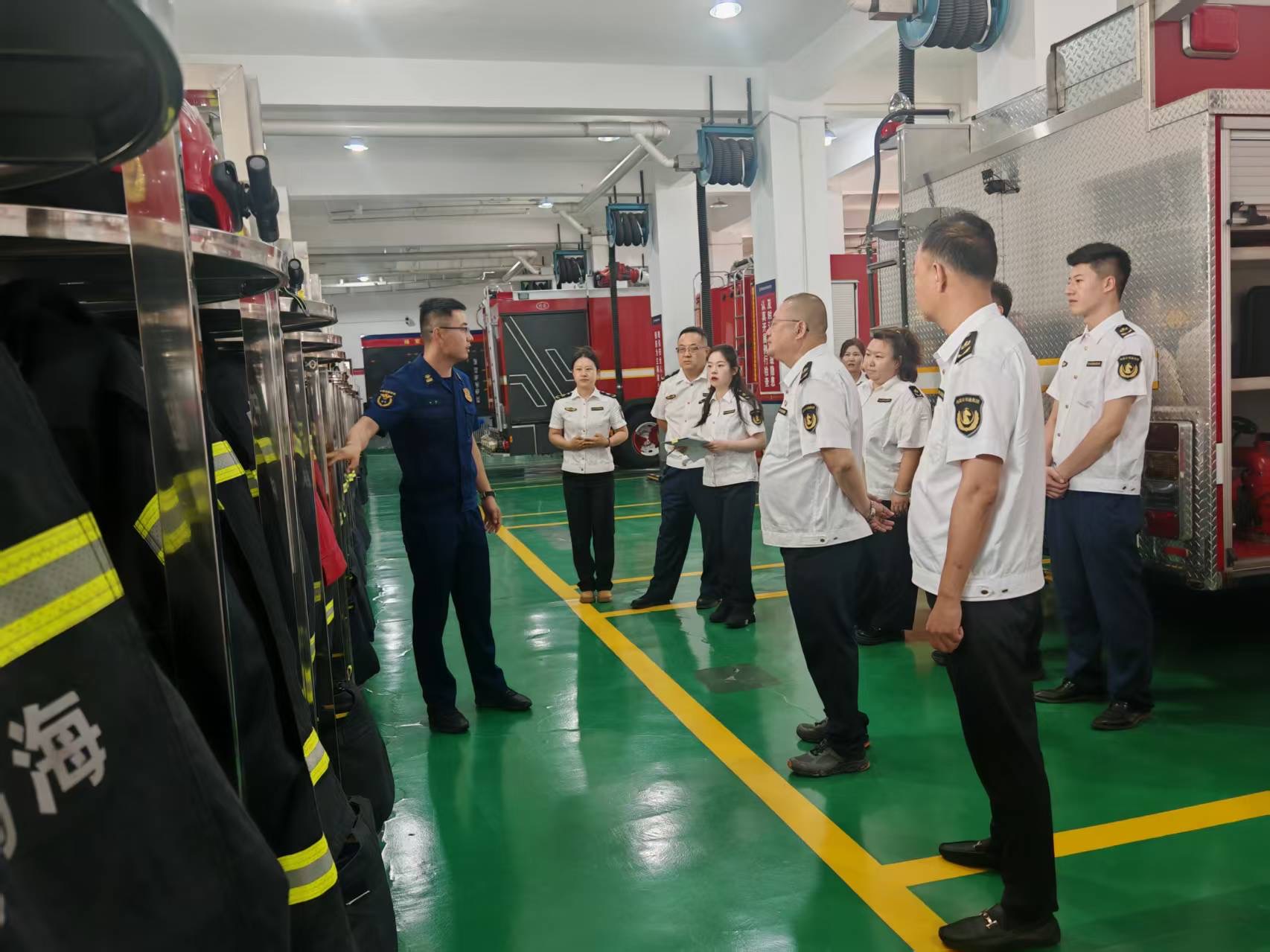 女人与公狍交酡女免费