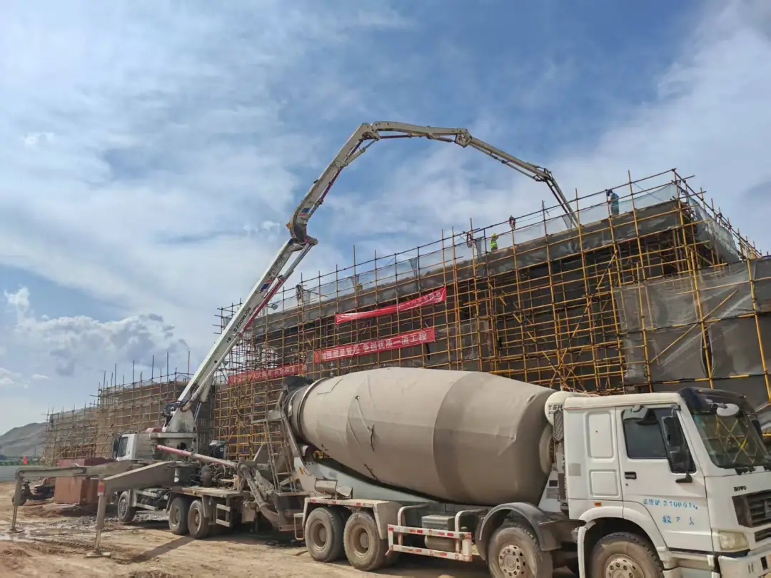 女人与公狍交酡女免费