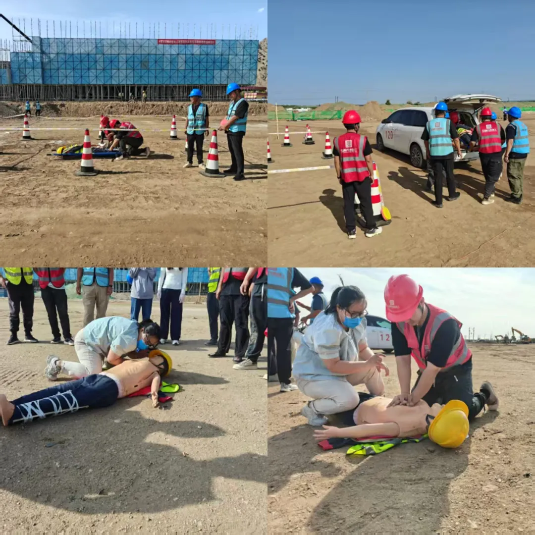 女人与公狍交酡女免费