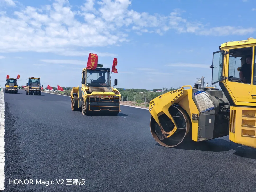 女人与公狍交酡女免费