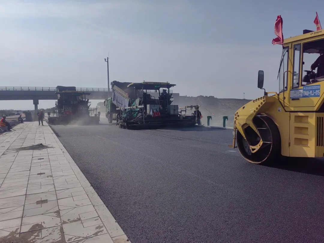 女人与公狍交酡女免费