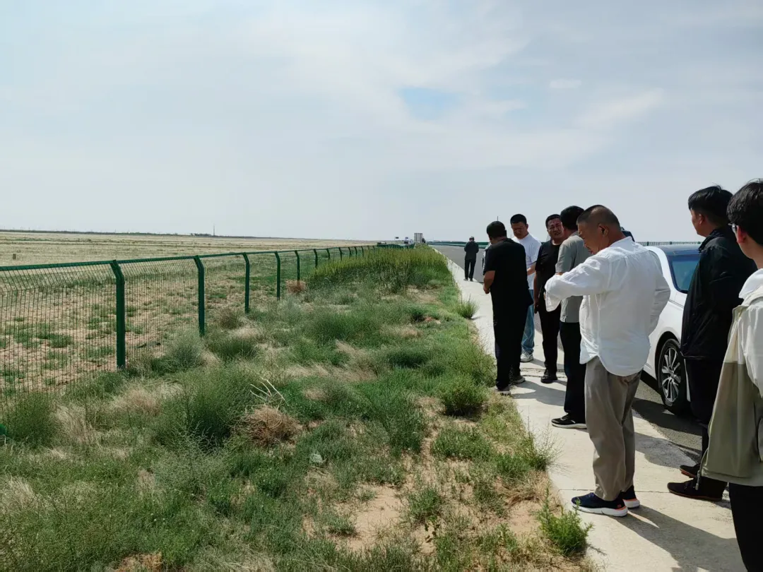 女人与公狍交酡女免费