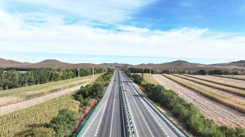 女人与公狍交酡女免费