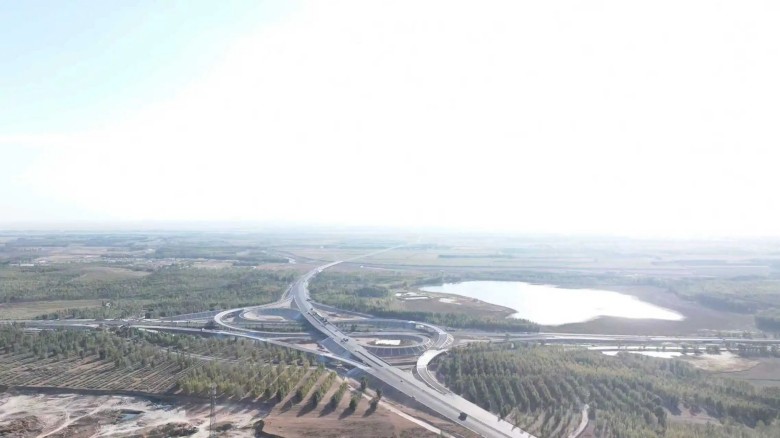 女人与公狍交酡女免费