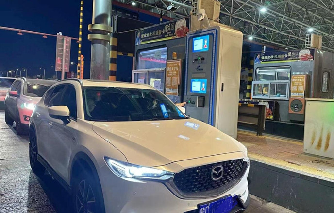 女人与公狍交酡女免费