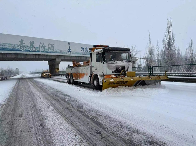 女人与公狍交酡女免费