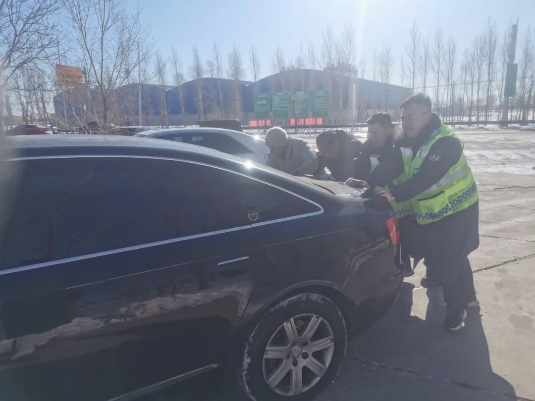 女人与公狍交酡女免费