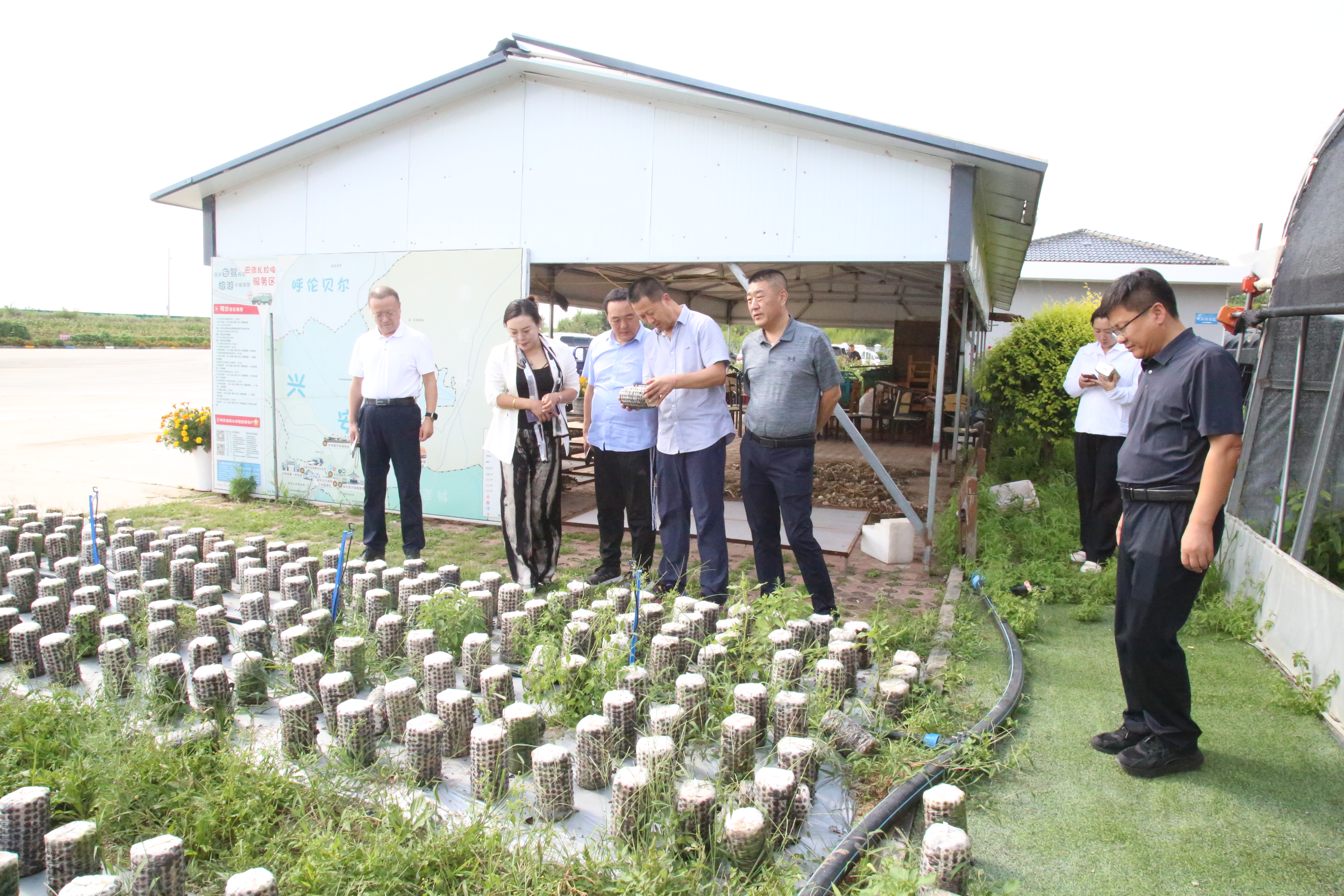 女人与公狍交酡女免费
