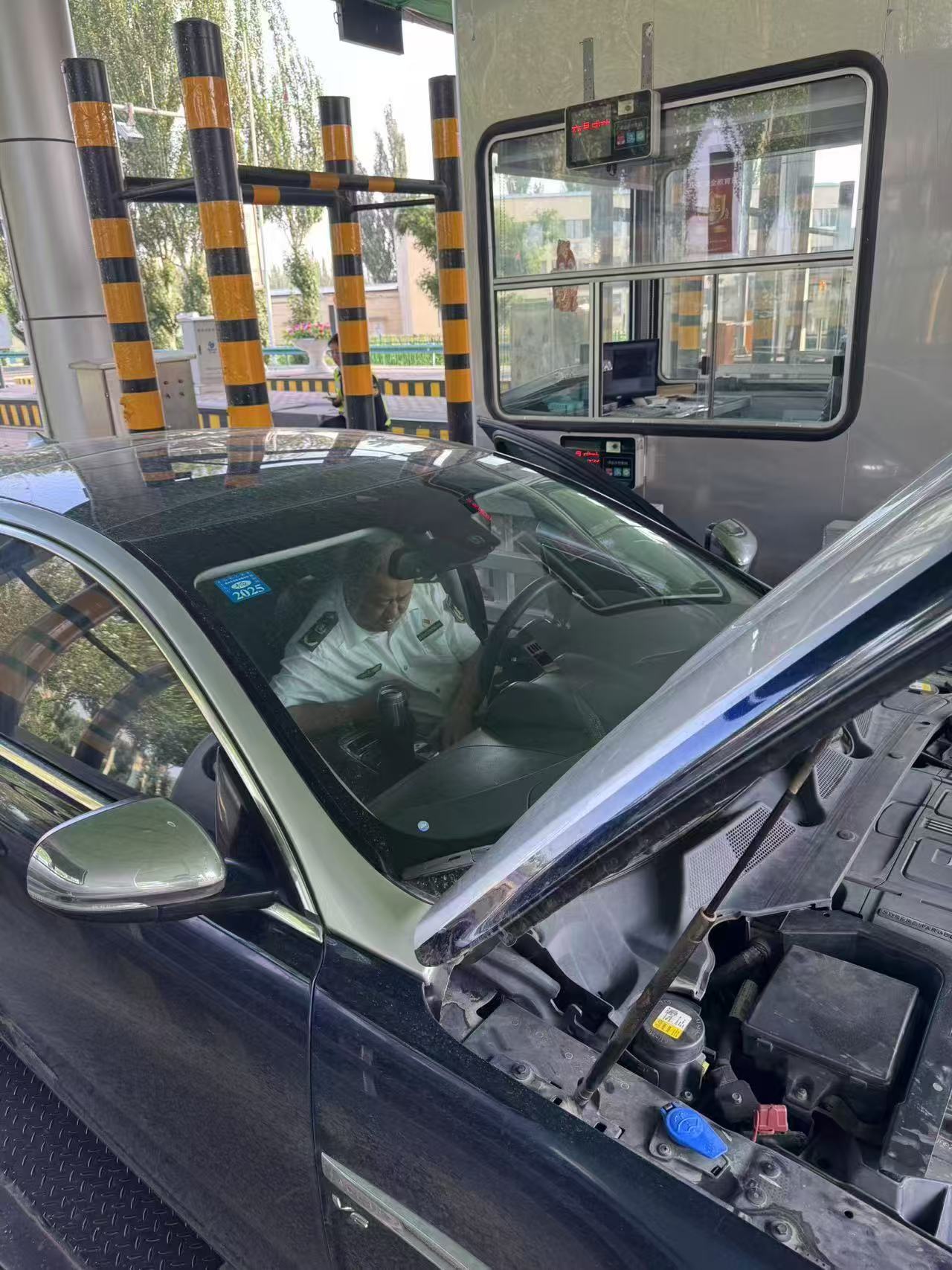 女人与公狍交酡女免费