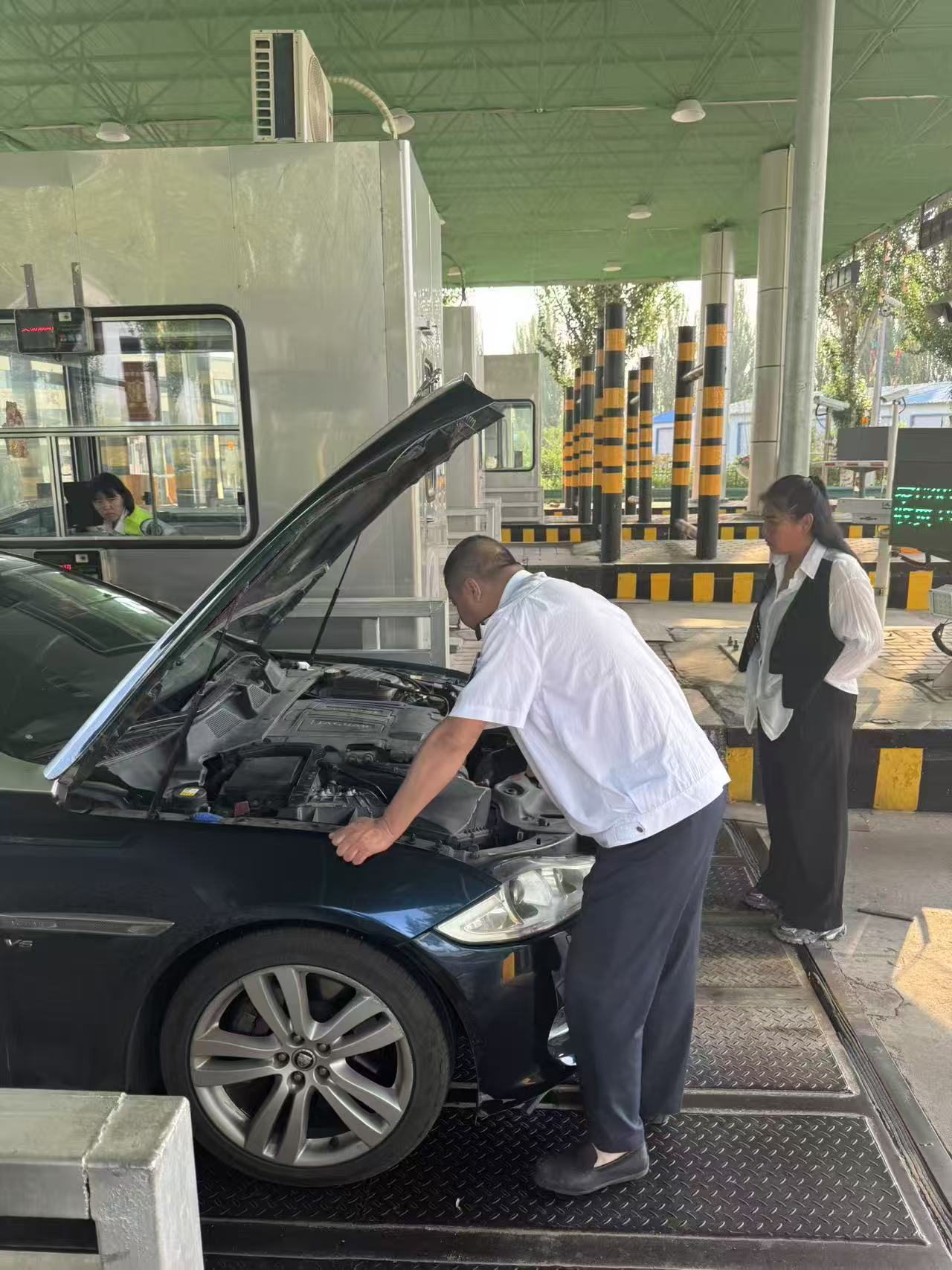 女人与公狍交酡女免费