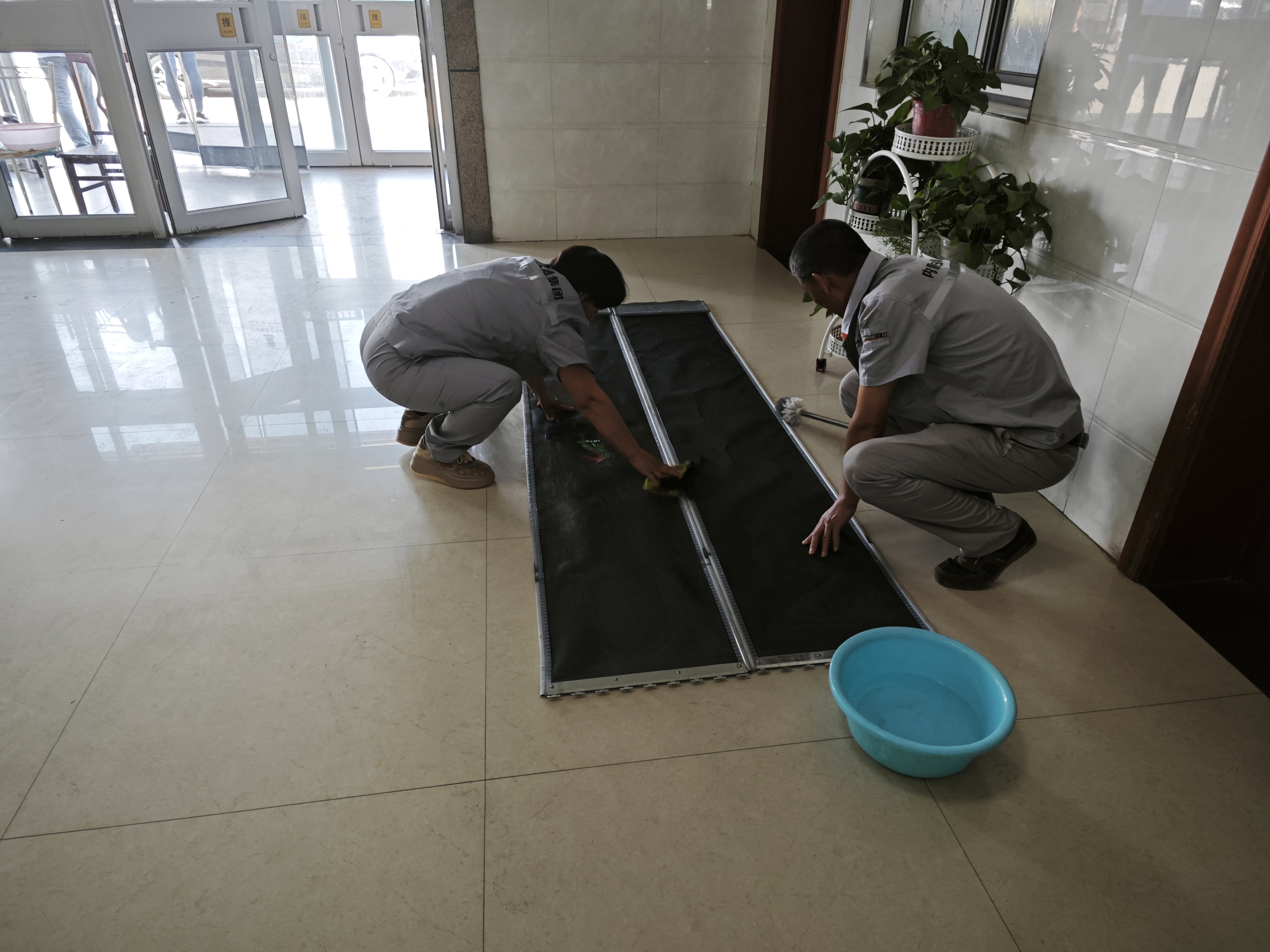 女人与公狍交酡女免费