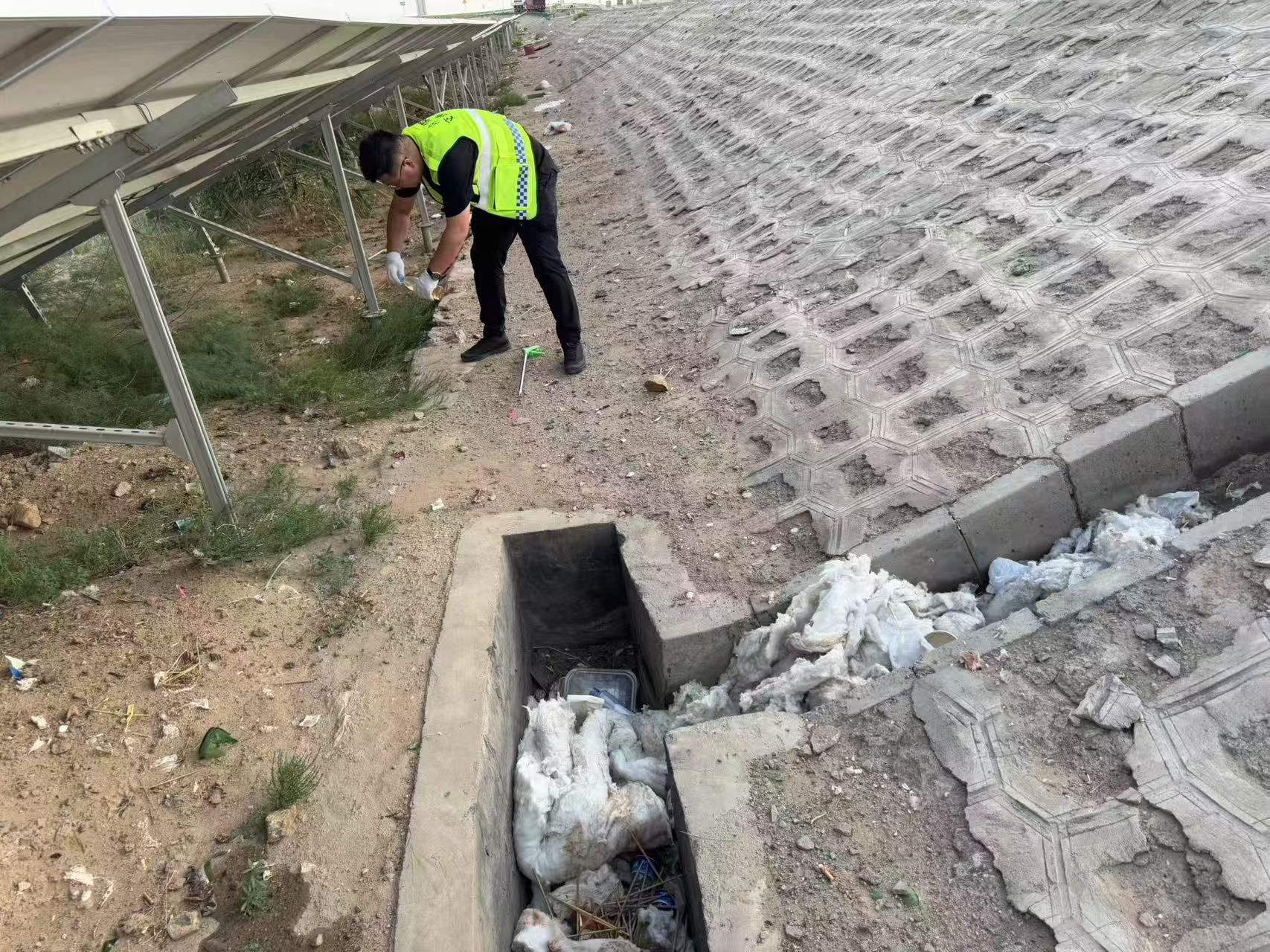 女人与公狍交酡女免费