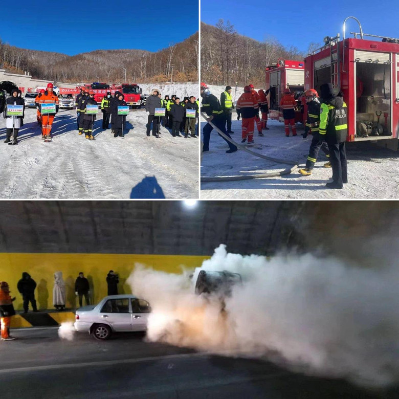 女人与公狍交酡女免费