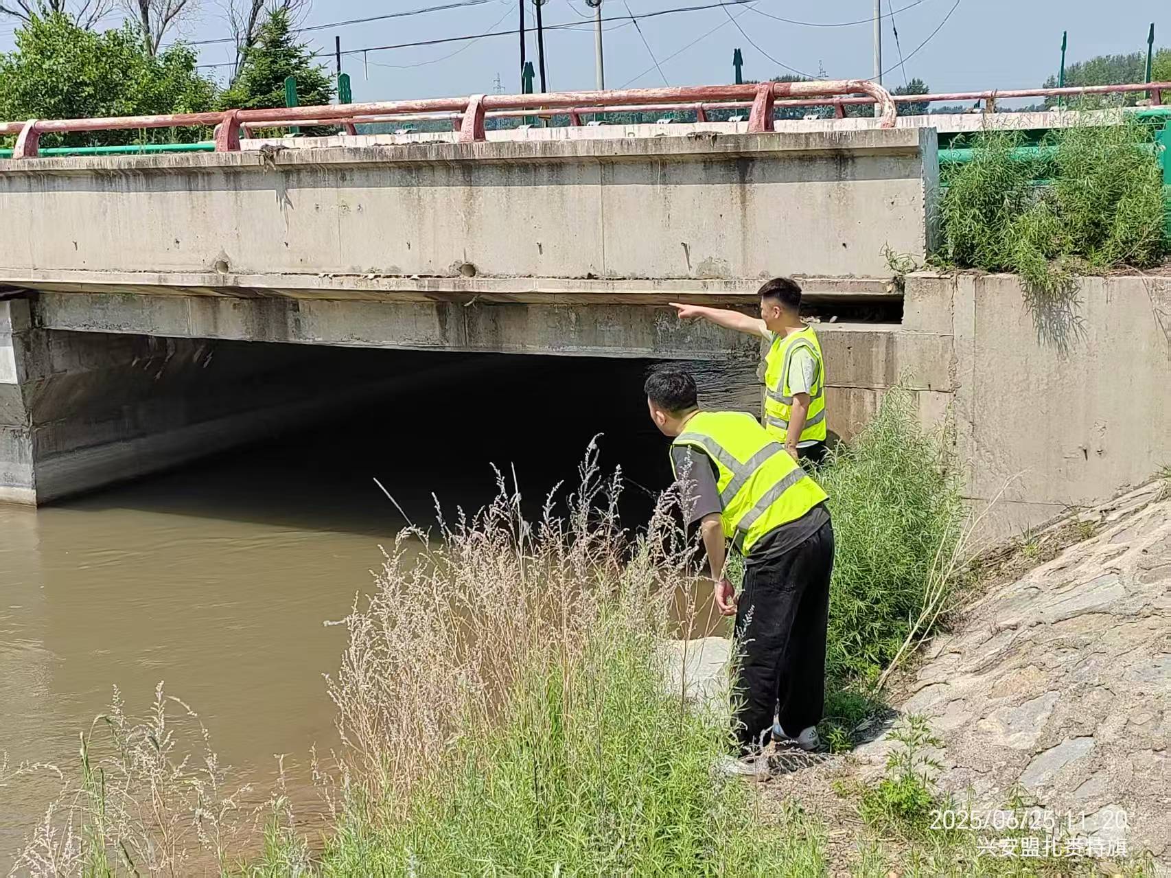 女人与公狍交酡女免费