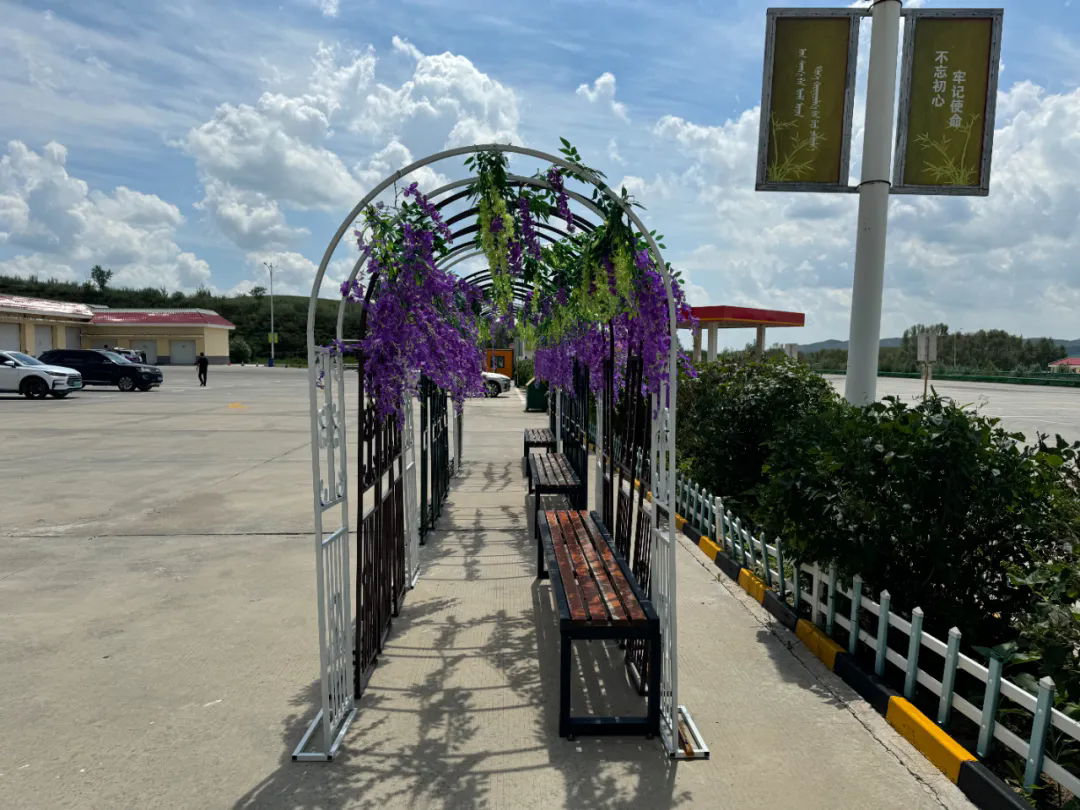 女人与公狍交酡女免费