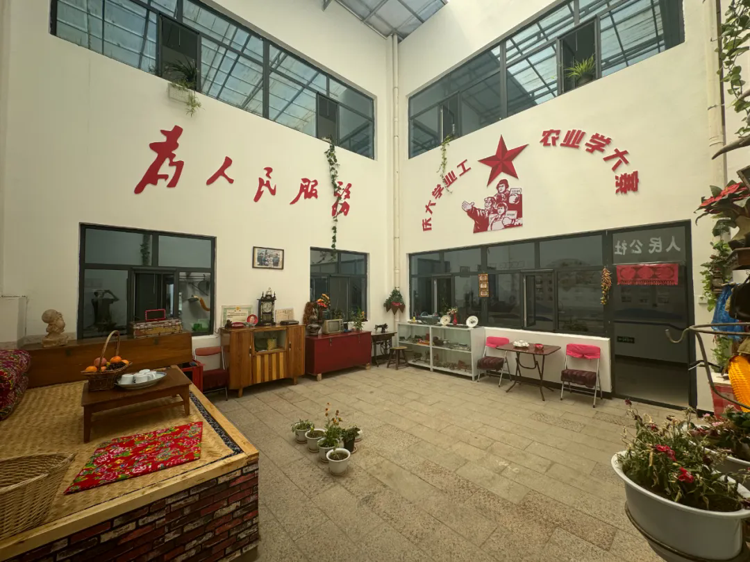 女人与公狍交酡女免费