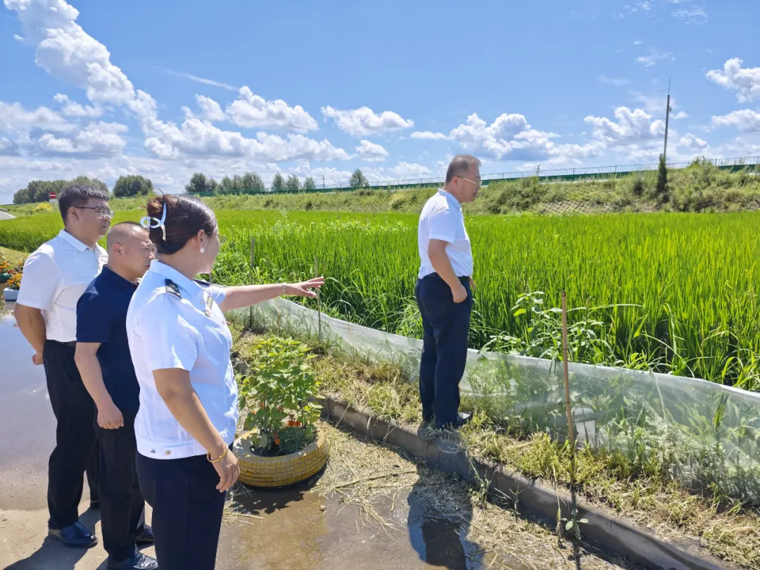 女人与公狍交酡女免费