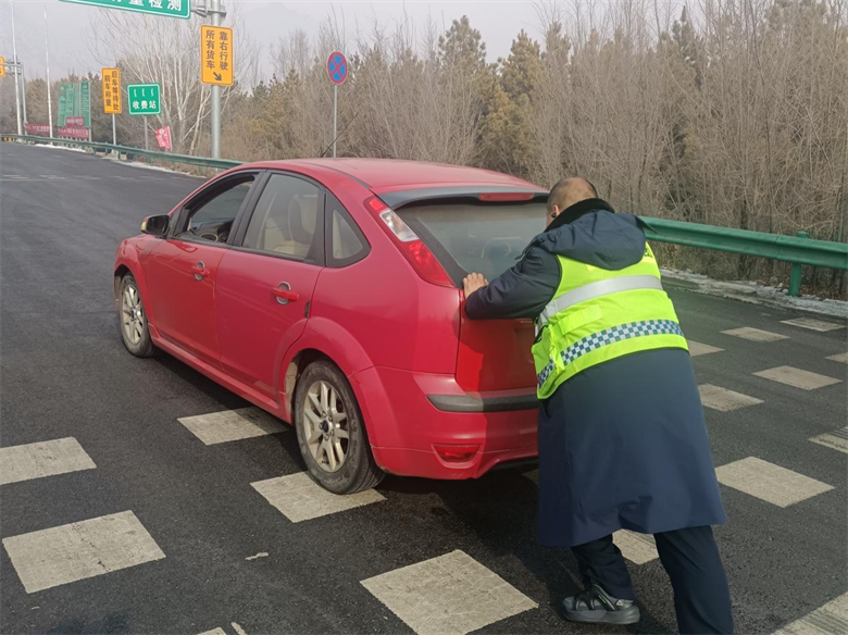 女人与公狍交酡女免费