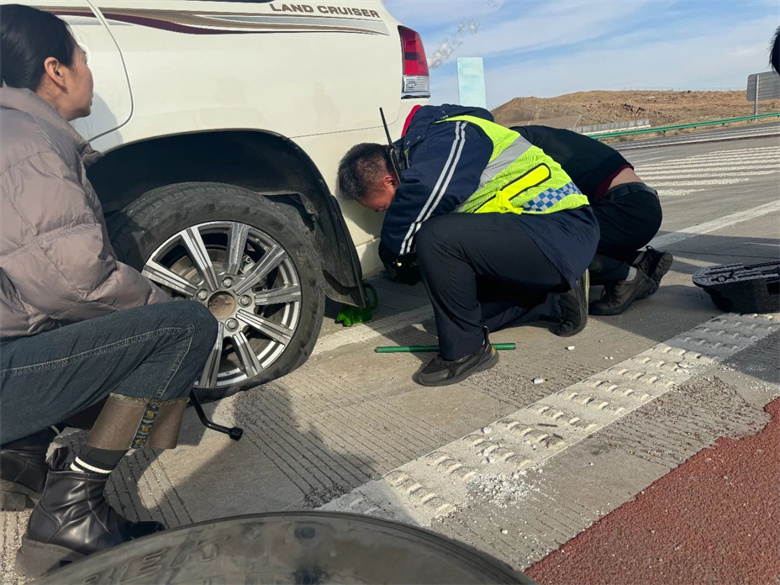 女人与公狍交酡女免费